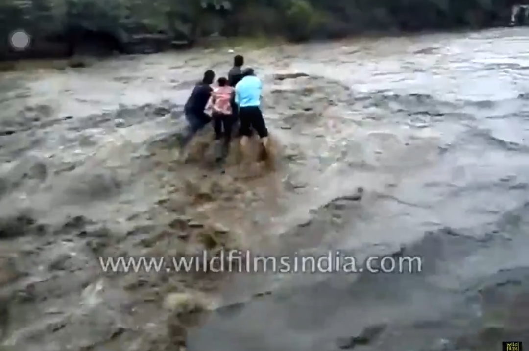 【悲報】彡(^)(^)「川で流されて死ぬとかアホやろw増水？大したことないやろw」 → 結果www